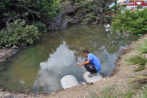 waterbodem wateronderzoek mangroves